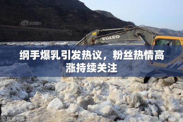 纲手爆乳引发热议，粉丝热情高涨持续关注