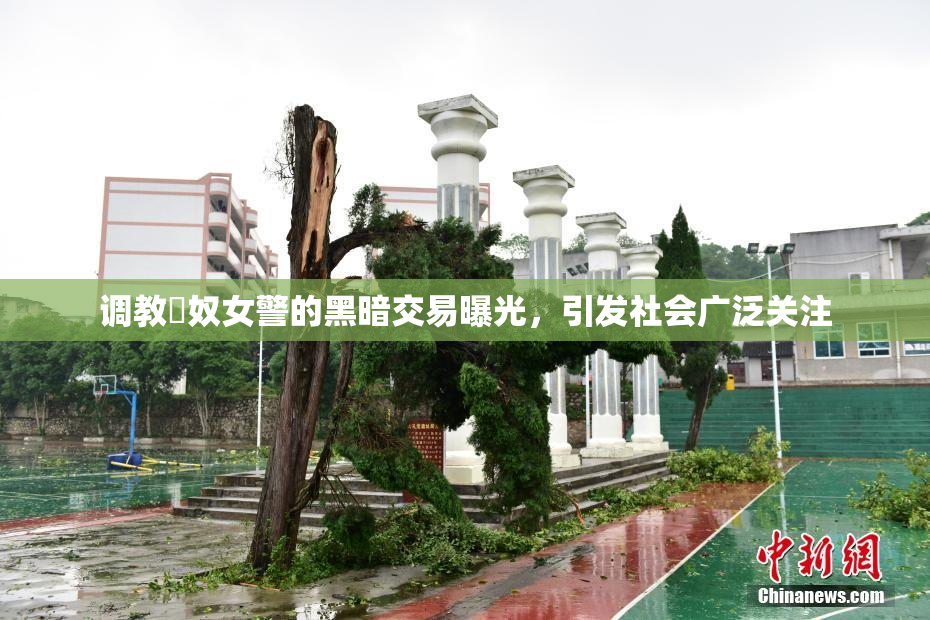 调教婬奴女警的黑暗交易曝光，引发社会广泛关注