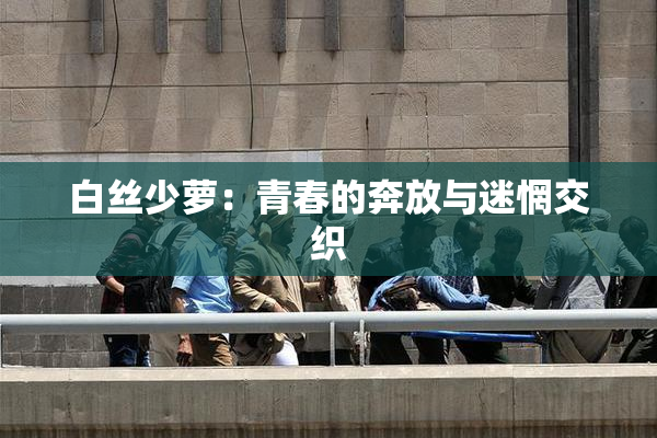 白丝少萝：青春的奔放与迷惘交织