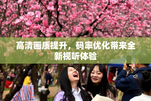 高清画质提升，码率优化带来全新视听体验