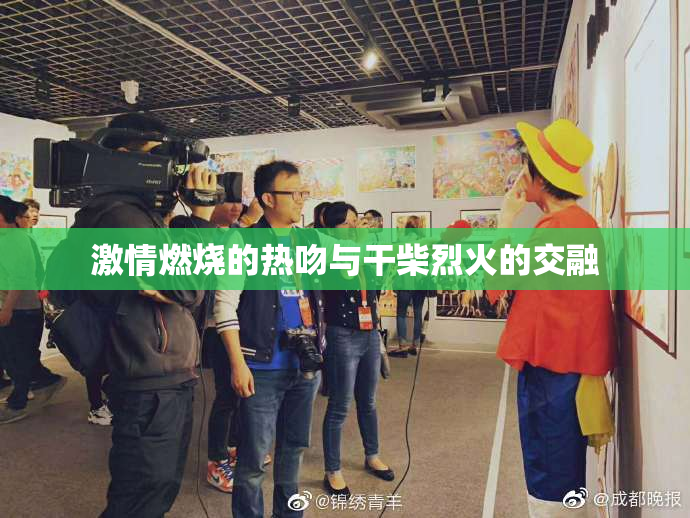 激情燃烧的热吻与干柴烈火的交融