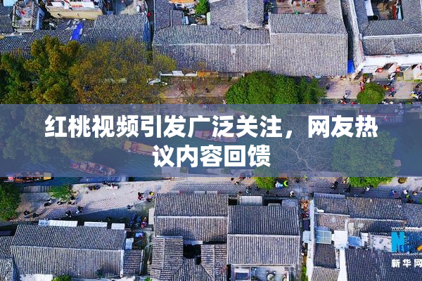 红桃视频引发广泛关注，网友热议内容回馈