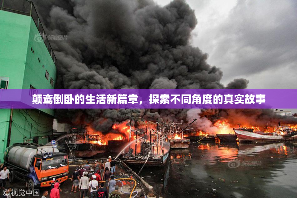 颠鸾倒卧的生活新篇章，探索不同角度的真实故事