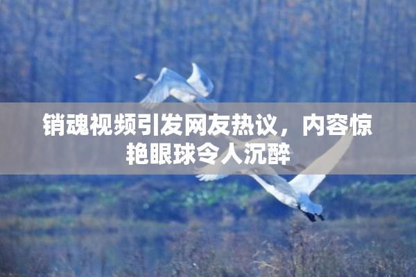 销魂视频引发网友热议，内容惊艳眼球令人沉醉