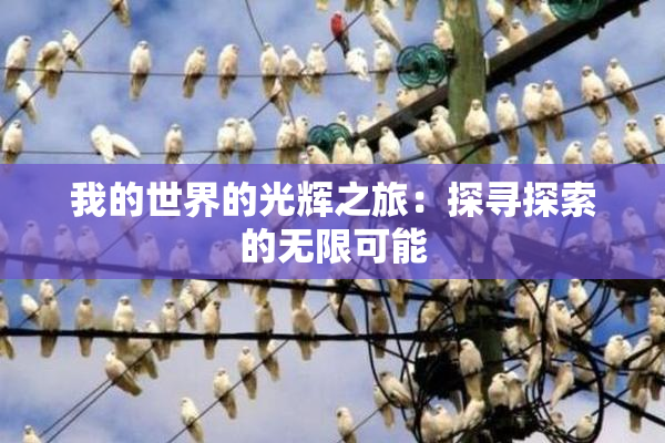 我的世界的光辉之旅：探寻探索的无限可能