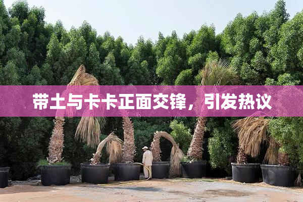 带土与卡卡正面交锋，引发热议