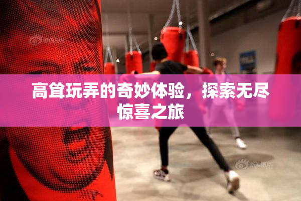 高耸玩弄的奇妙体验，探索无尽惊喜之旅