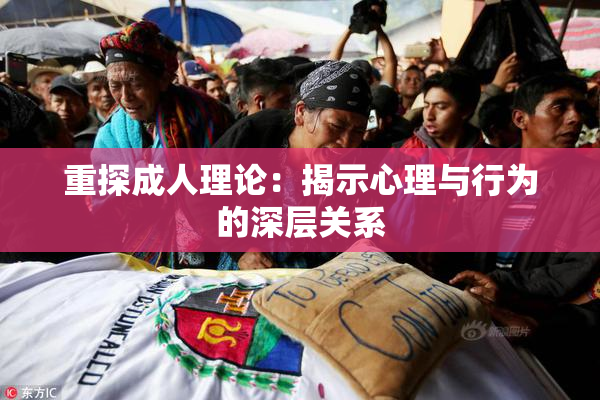 重探成人理论：揭示心理与行为的深层关系