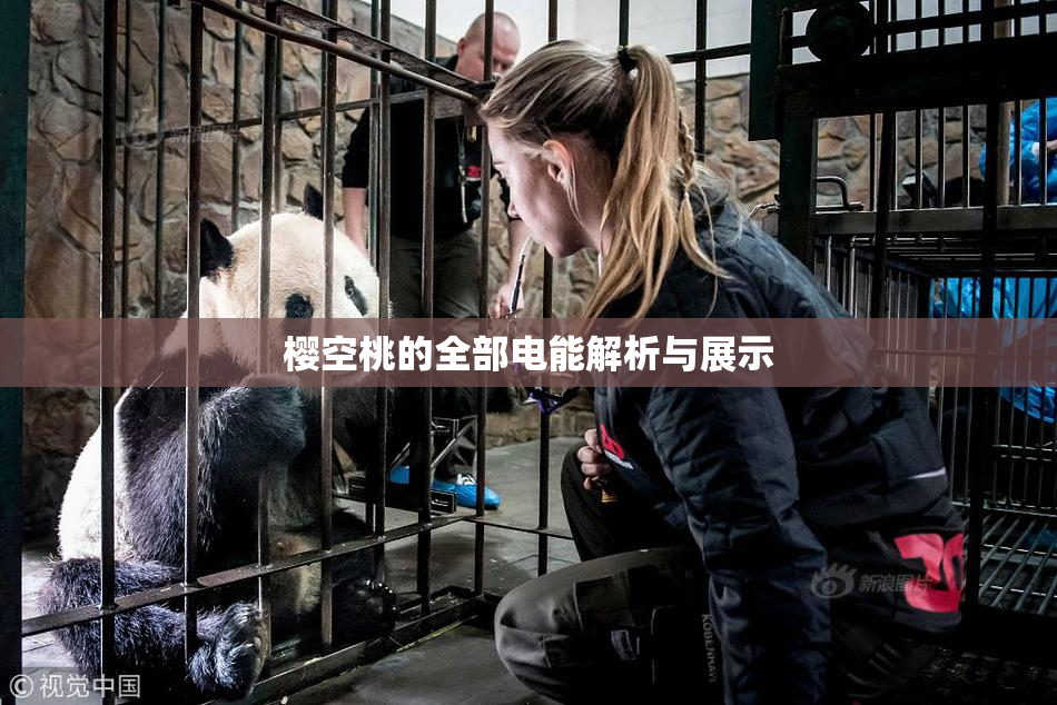 樱空桃的全部电能解析与展示