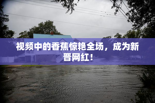 视频中的香蕉惊艳全场，成为新晋网红！