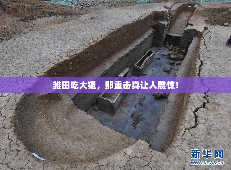 雏田吃大狙，那重击真让人震惊！