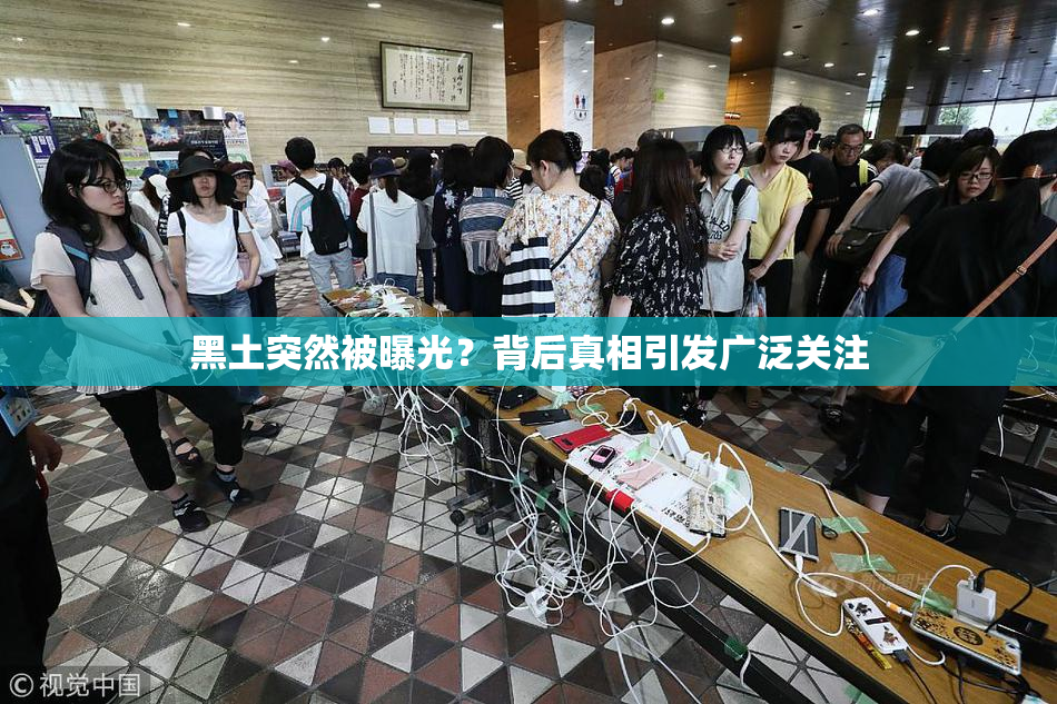 黑土突然被曝光？背后真相引发广泛关注