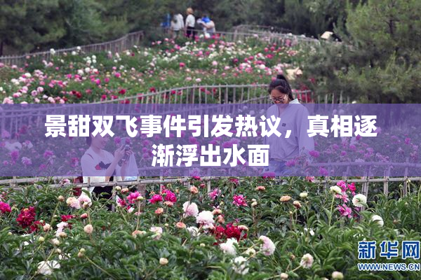 景甜双飞事件引发热议，真相逐渐浮出水面