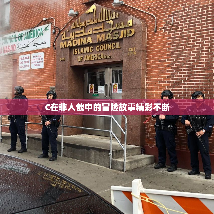 C在非人哉中的冒险故事精彩不断