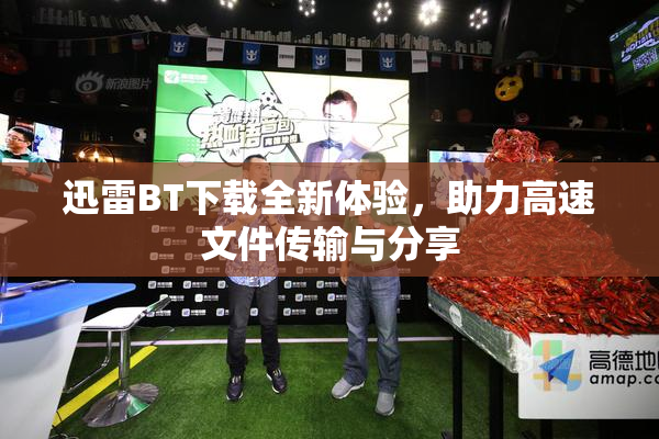 迅雷BT下载全新体验，助力高速文件传输与分享