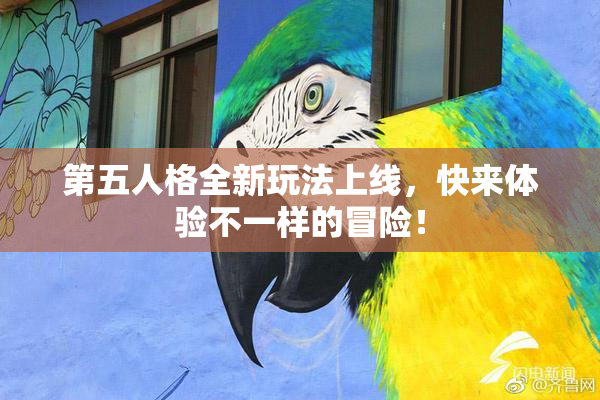 第五人格全新玩法上线，快来体验不一样的冒险！