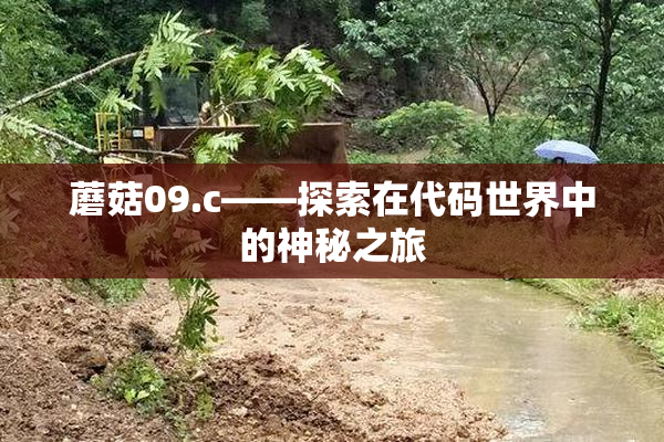 蘑菇09.c——探索在代码世界中的神秘之旅
