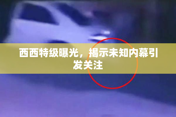 西西特级曝光，揭示未知内幕引发关注