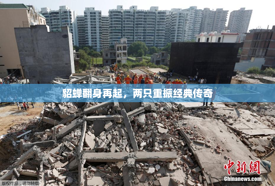 貂蝉翻身再起，两只重振经典传奇