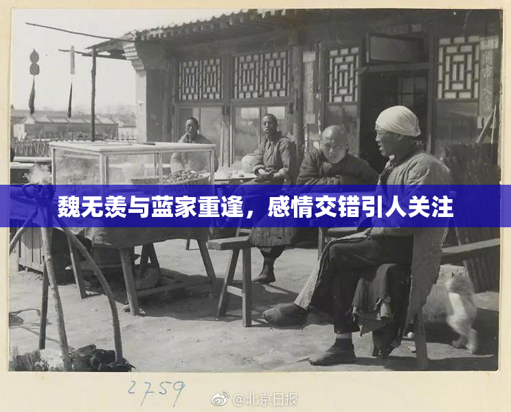 魏无羡与蓝家重逢，感情交错引人关注