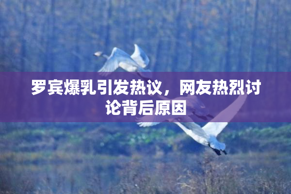 罗宾爆乳引发热议，网友热烈讨论背后原因