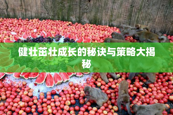 健壮茁壮成长的秘诀与策略大揭秘