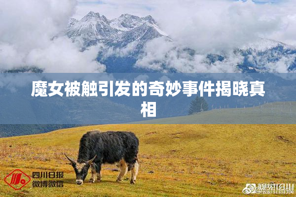 魔女被触引发的奇妙事件揭晓真相