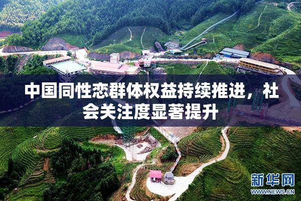 中国同性恋群体权益持续推进，社会关注度显著提升