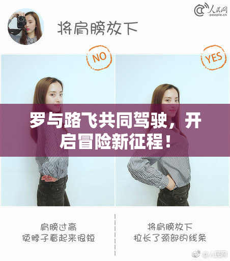 罗与路飞共同驾驶，开启冒险新征程！