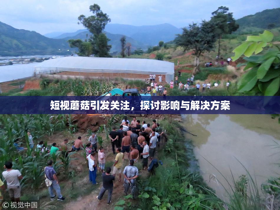 短视蘑菇引发关注，探讨影响与解决方案