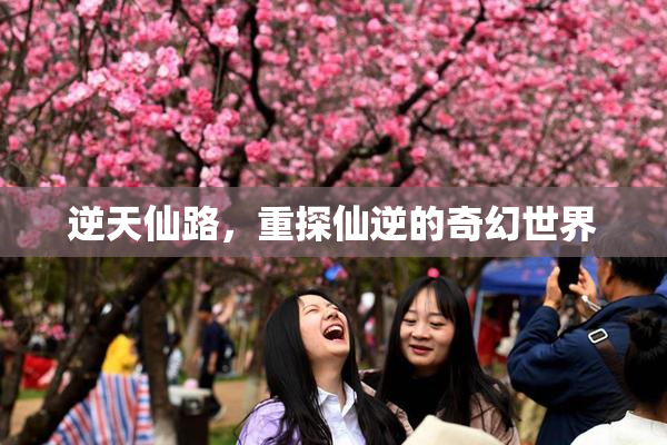 逆天仙路，重探仙逆的奇幻世界
