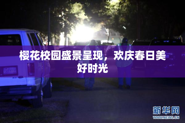 樱花校园盛景呈现，欢庆春日美好时光