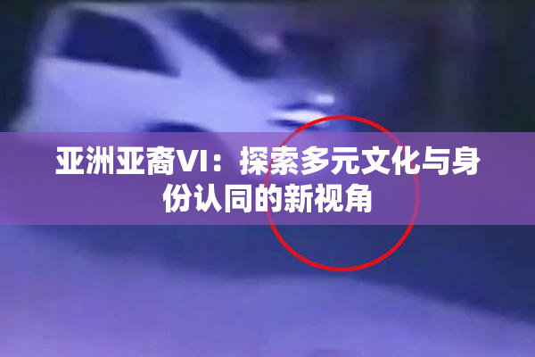 亚洲亚裔VI：探索多元文化与身份认同的新视角