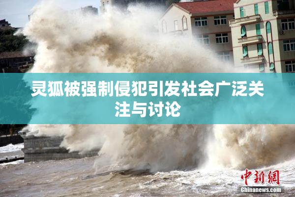 灵狐被强制侵犯引发社会广泛关注与讨论