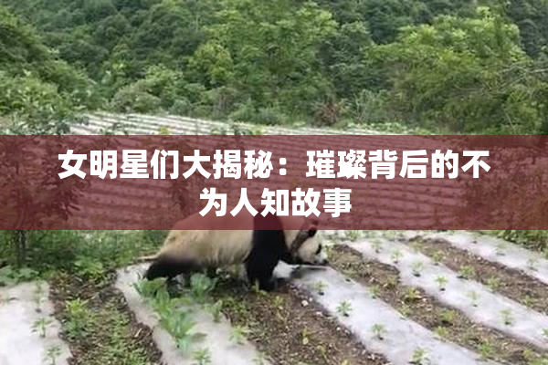 女明星们大揭秘：璀璨背后的不为人知故事