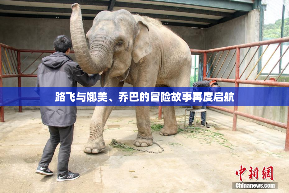 路飞与娜美、乔巴的冒险故事再度启航