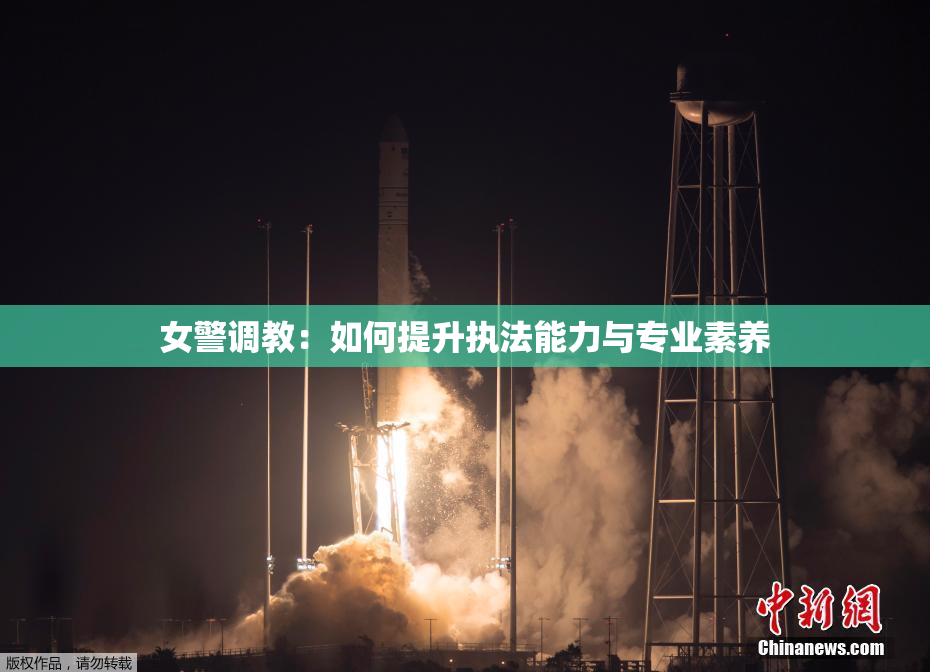 女警调教：如何提升执法能力与专业素养
