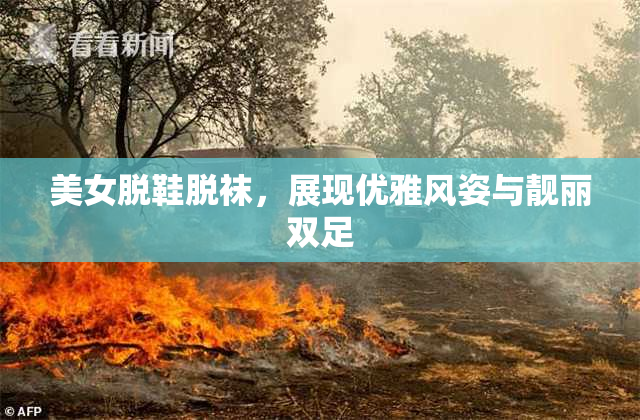 美女脱鞋脱袜，展现优雅风姿与靓丽双足