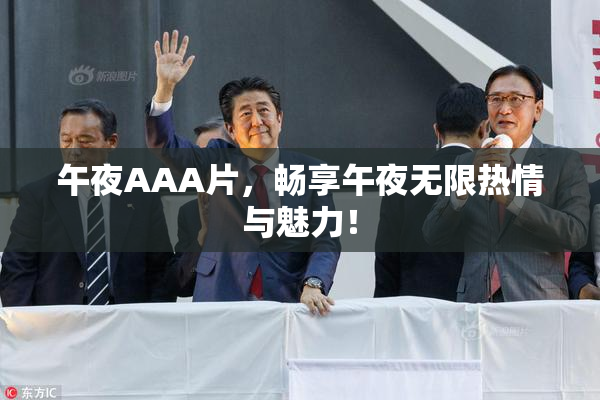 午夜AAA片，畅享午夜无限热情与魅力！