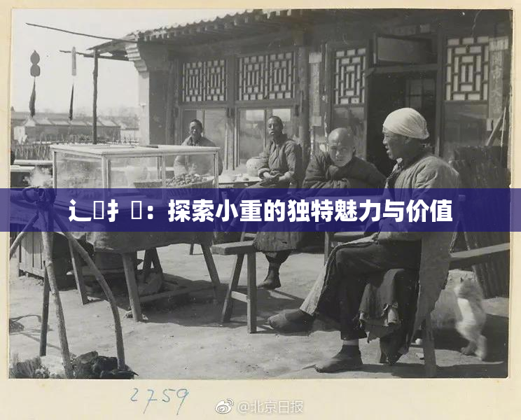 辶喿扌畐：探索小重的独特魅力与价值