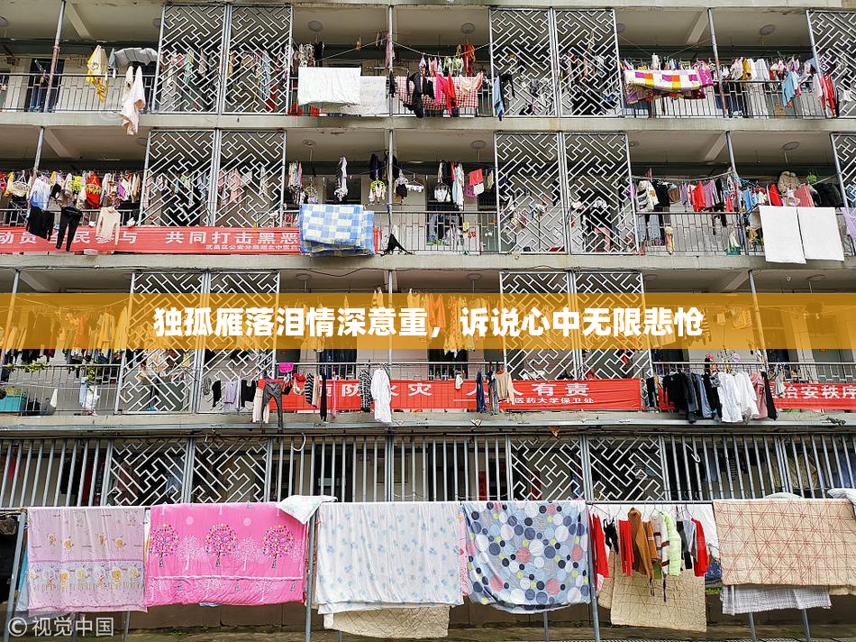 独孤雁落泪情深意重，诉说心中无限悲怆