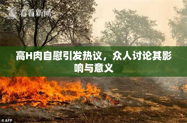 高H肉自慰引发热议，众人讨论其影响与意义