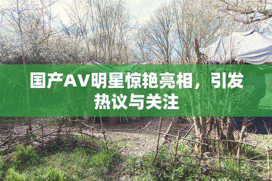 国产AV明星惊艳亮相，引发热议与关注