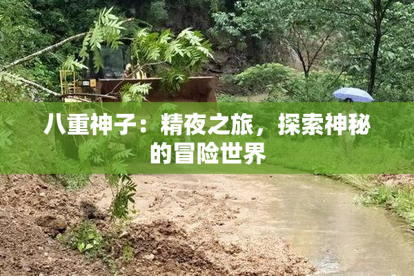 八重神子：精夜之旅，探索神秘的冒险世界
