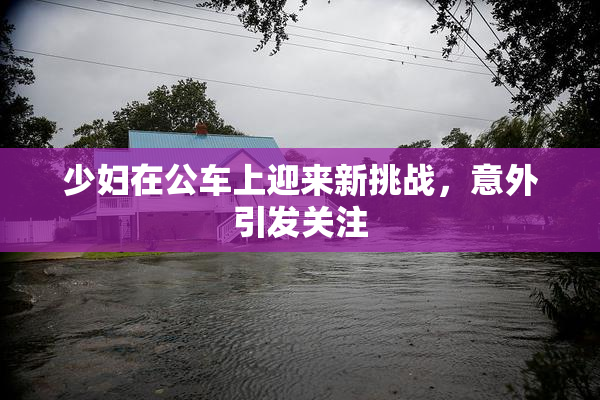 少妇在公车上迎来新挑战，意外引发关注