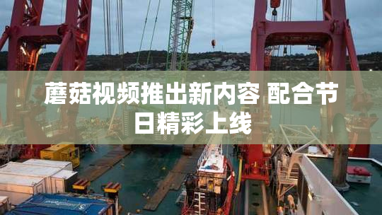 蘑菇视频推出新内容 配合节日精彩上线