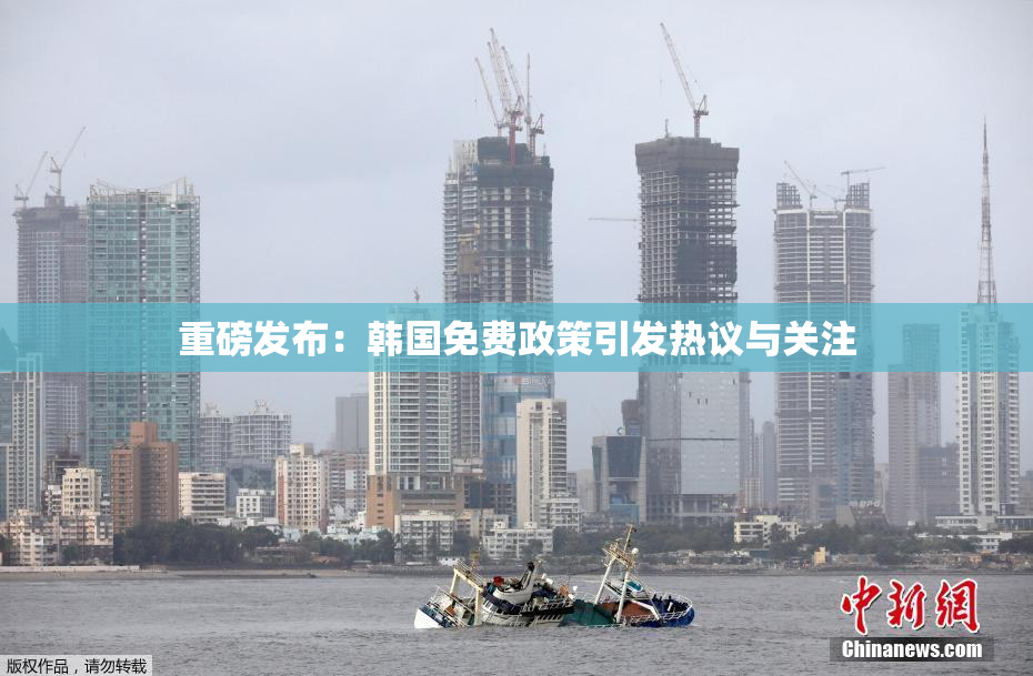 重磅发布：韩国免费政策引发热议与关注