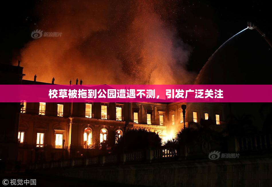校草被拖到公园遭遇不测，引发广泛关注