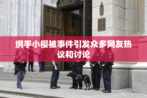 纲手小樱被事件引发众多网友热议和讨论