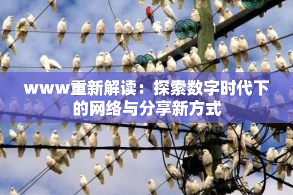 www重新解读：探索数字时代下的网络与分享新方式